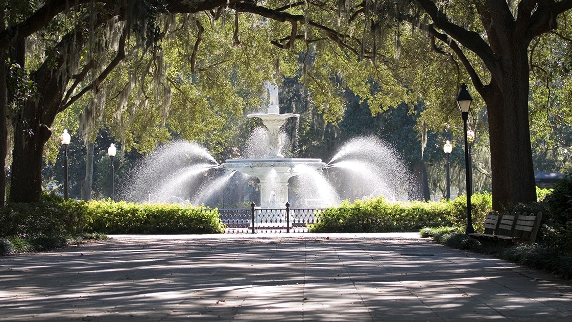 Savannah fountain